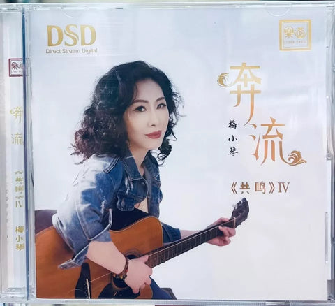 MEI XIAO QIN - 梅小琴 奔流 共鳴 IV (CD)